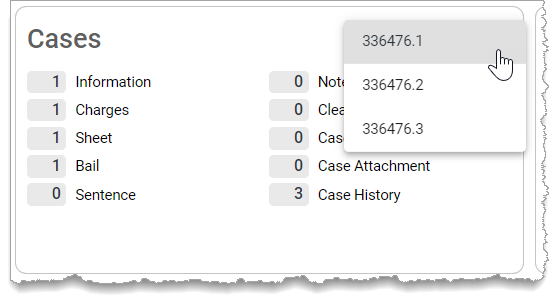 Cases Section - list
